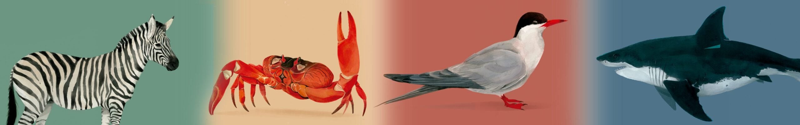 banner livro viajantes desenho de animais zebra caranguejo tubarao e passaro scaled