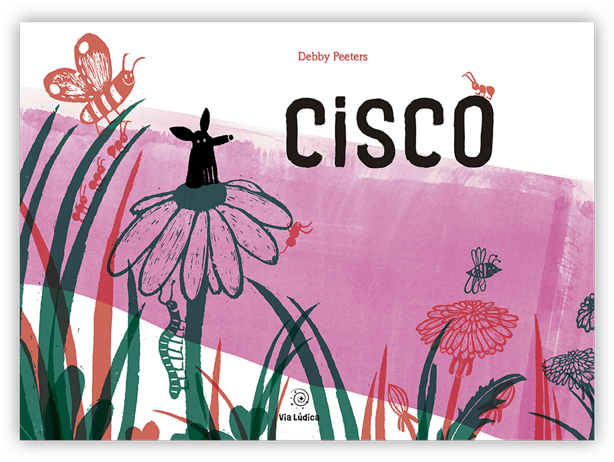 capa cisco