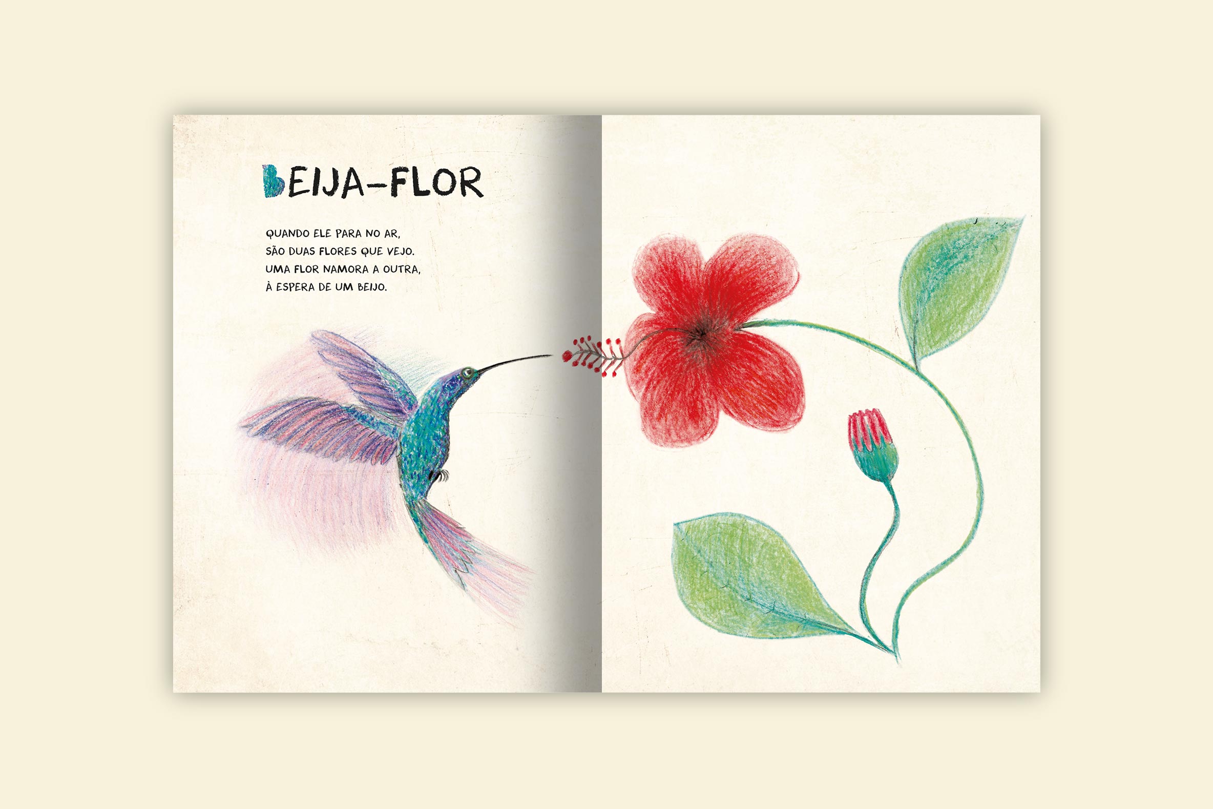 beija flor voando parado em pleno ar beijando uma flor vermelha livro na passarela do mundo colecao brasilidades
