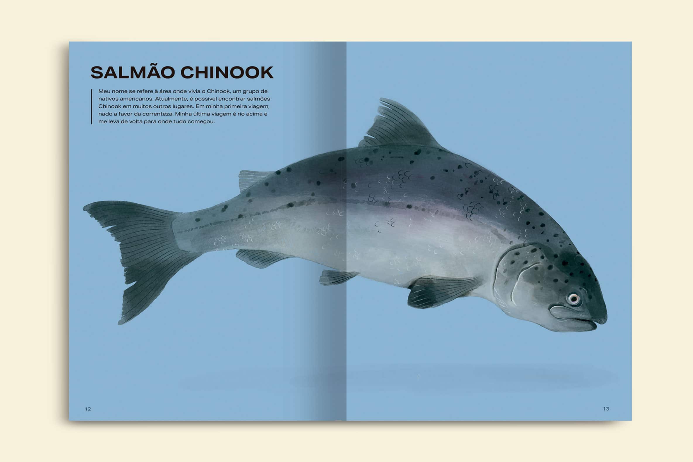 salmao chinook em fundo azul livro viajantes colecao animais maravilhosos