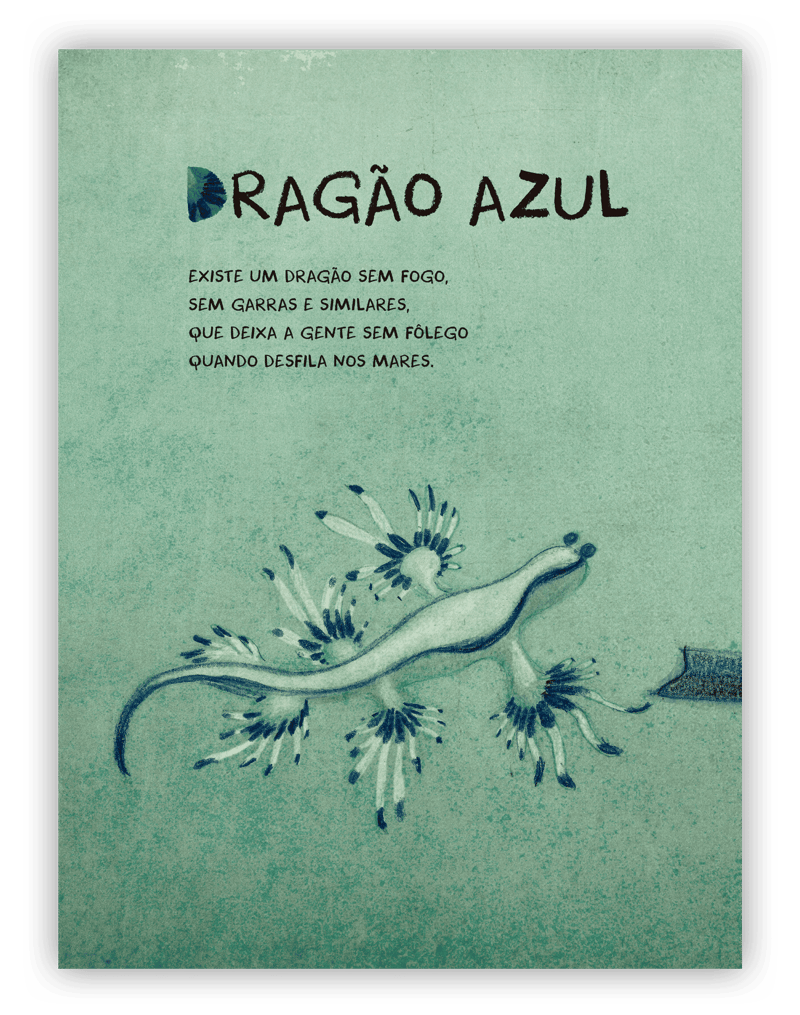 na passarela do mundo roteiro de leitura 01