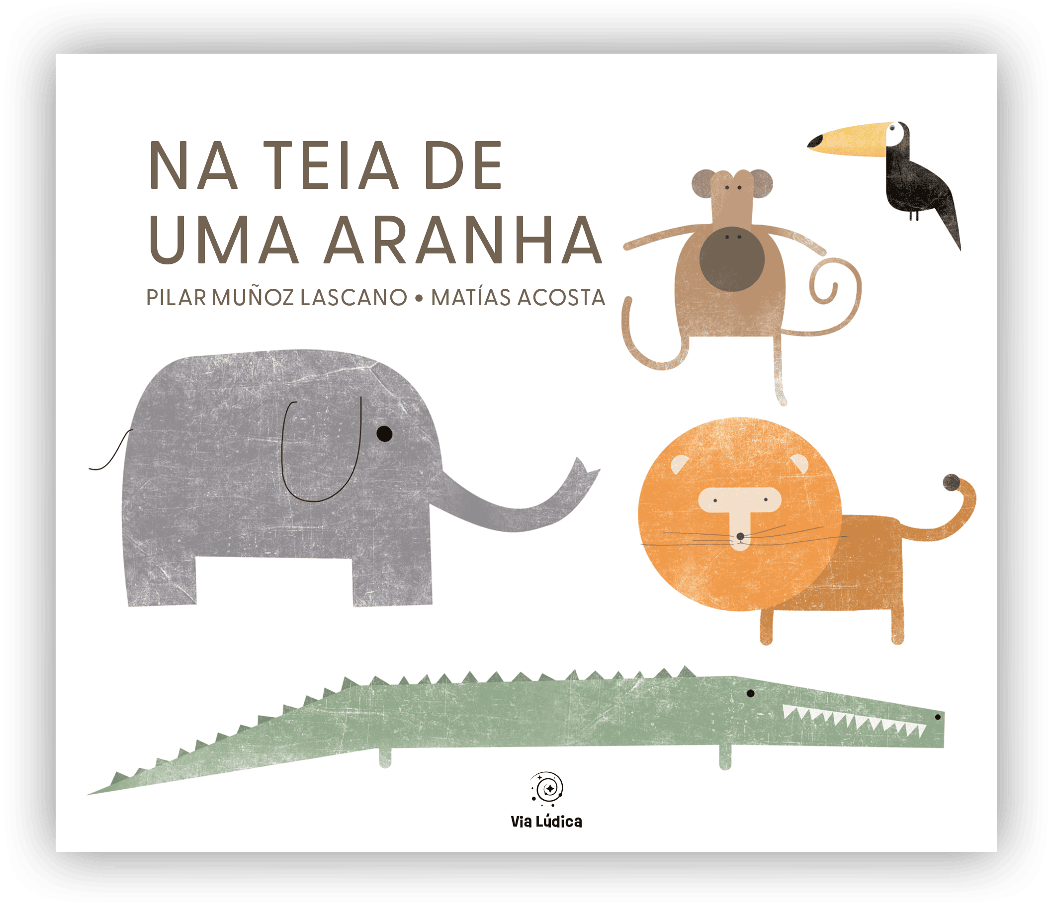 capa na teia de uma aranha