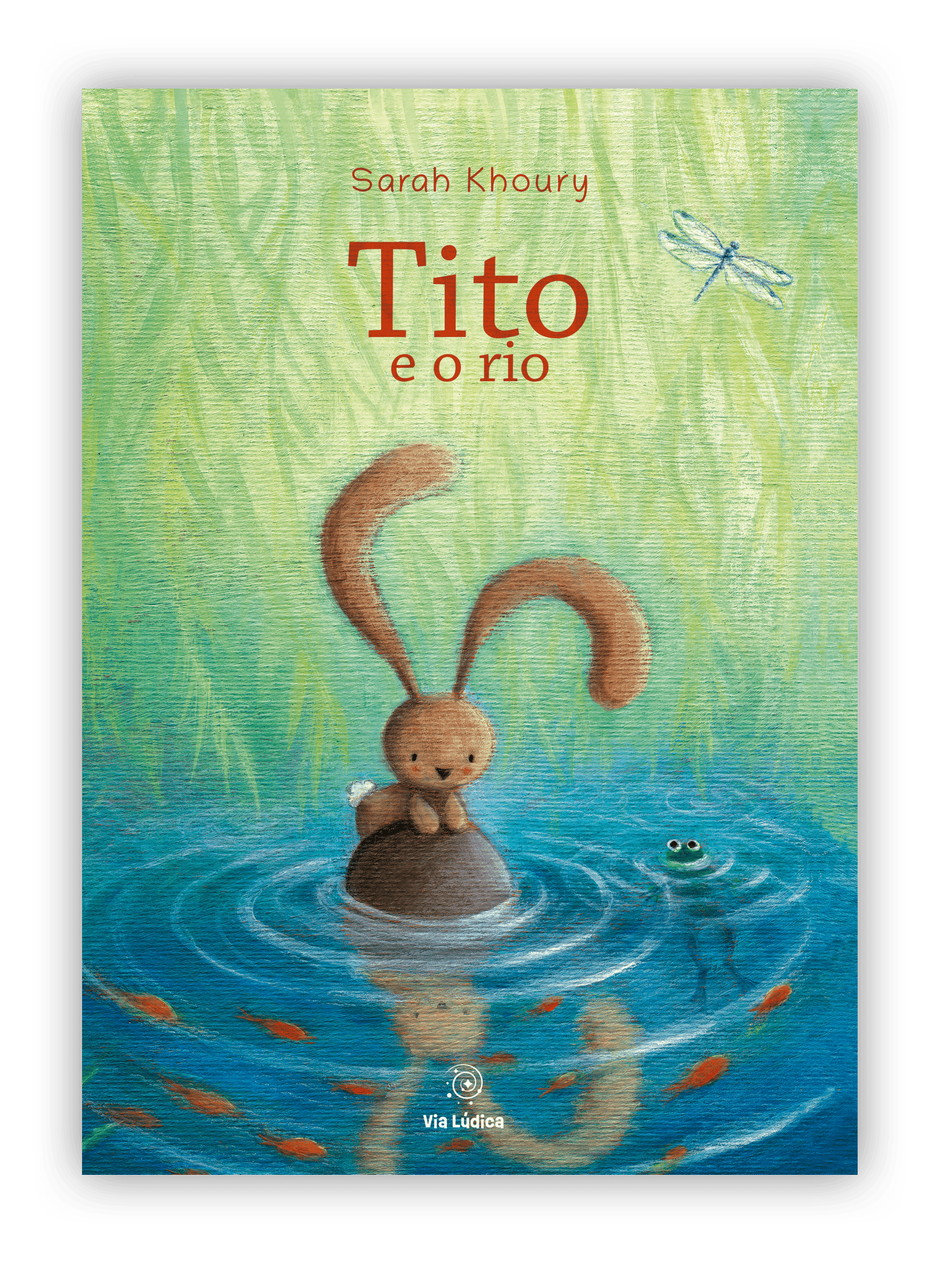 capa tito e o rio