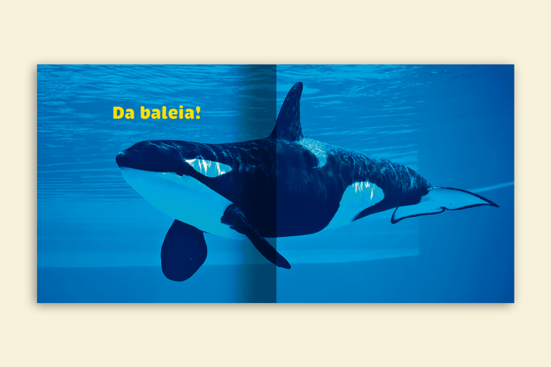 de quem e essa cauda baleia em alto mar editora via ludica