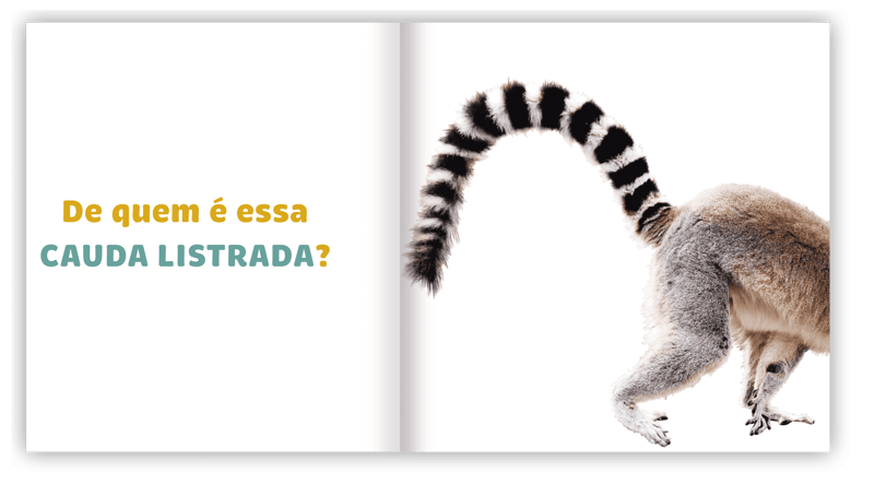 de quem e essa cauda roteiro de leitura 01
