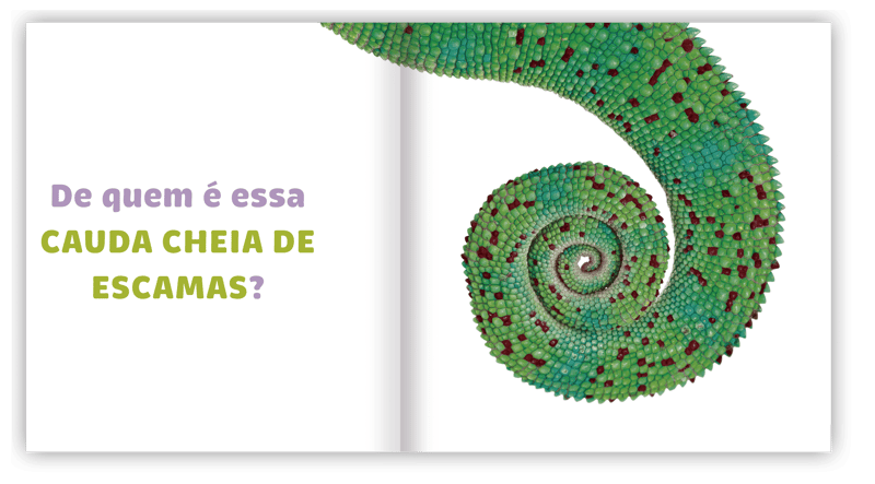 de quem e essa cauda roteiro de leitura 02