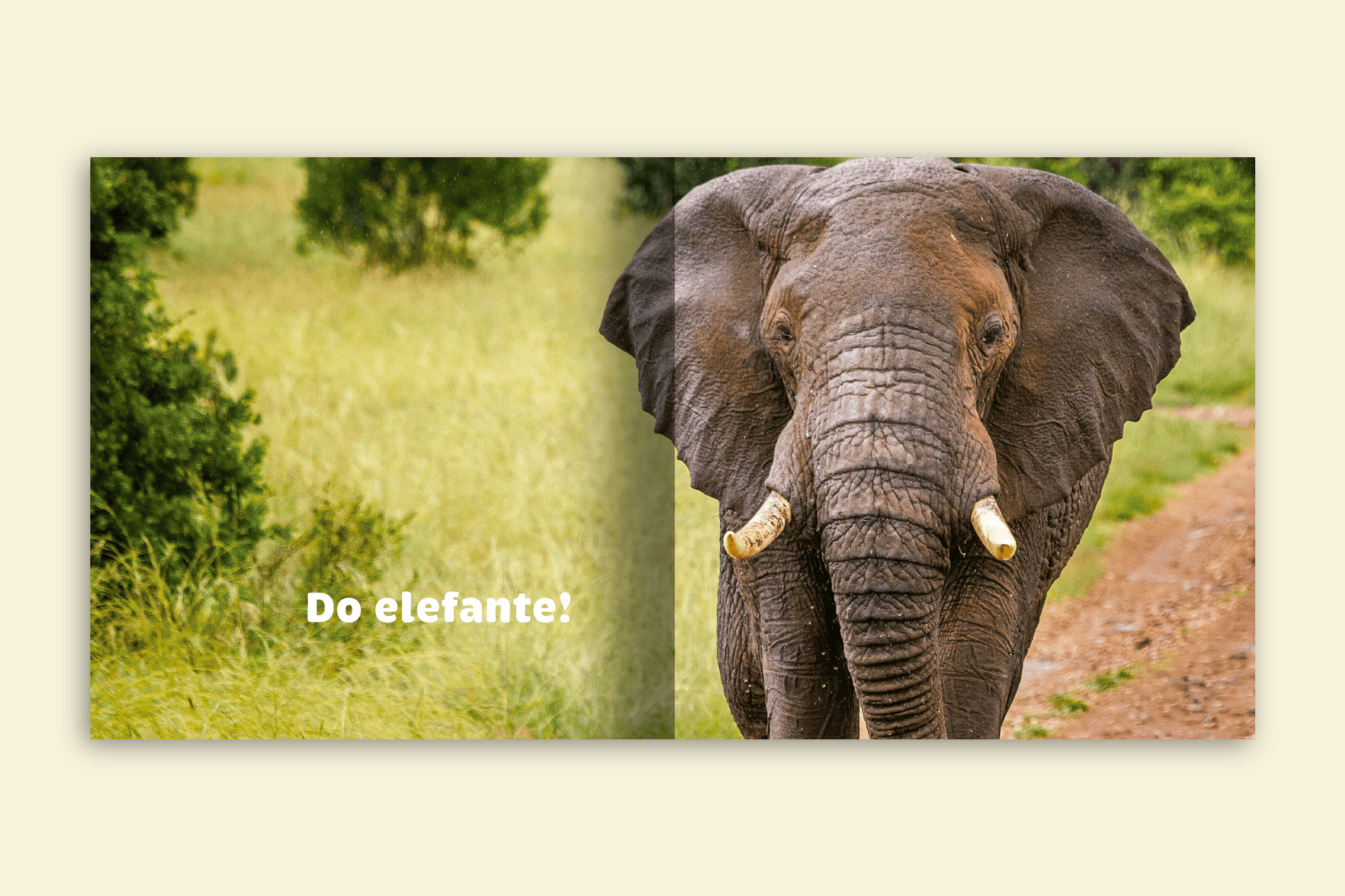 de quem e esse nariz elefante com sua tromba editora via ludica