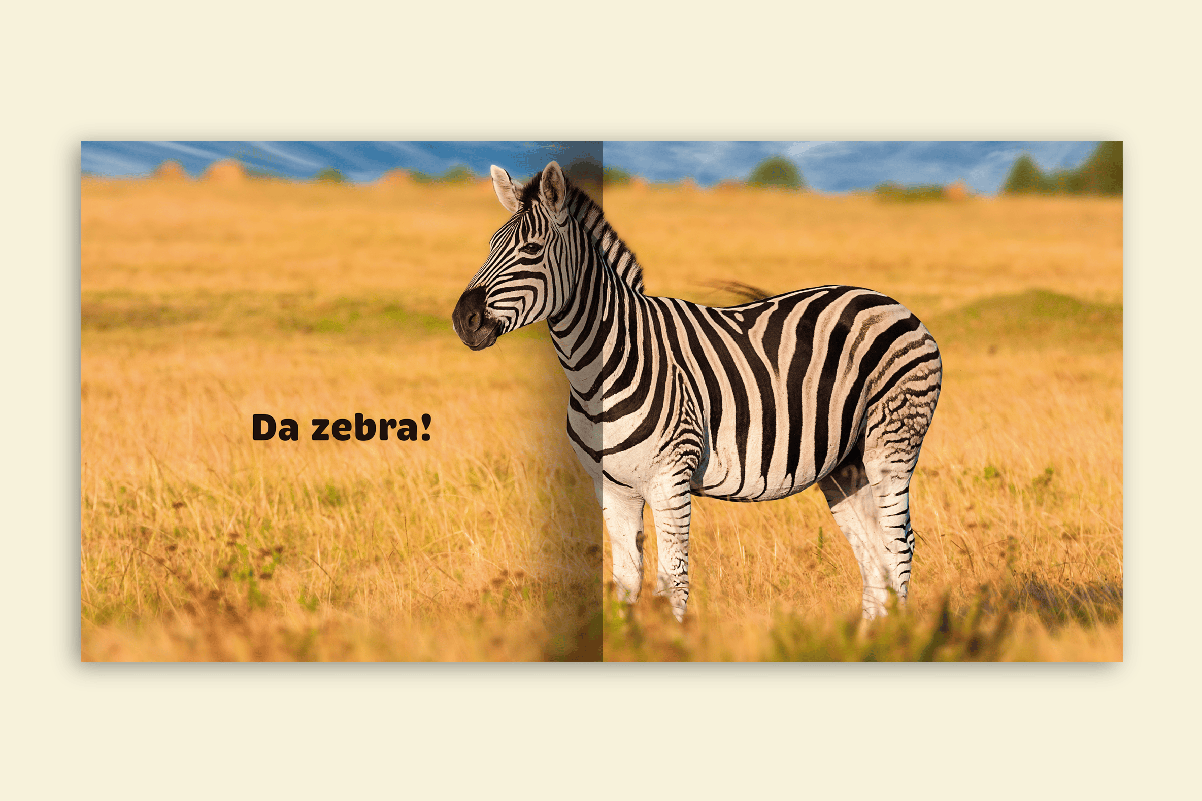 de quem sao essas orelhas zebra na savana editora via ludica