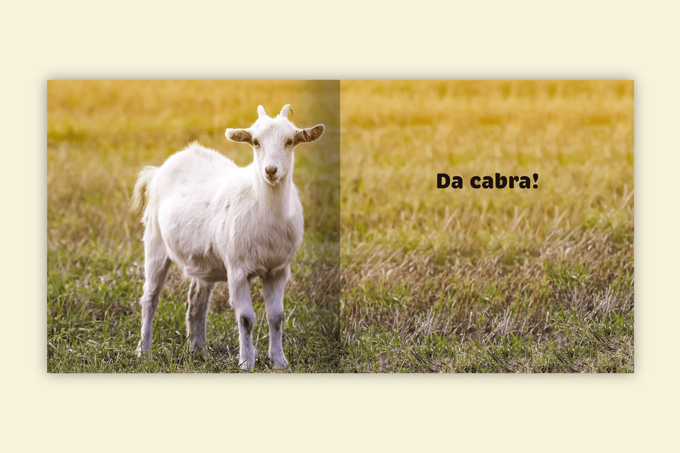 de quem sao esses pes cabra campo capim animal branco editora via ludica