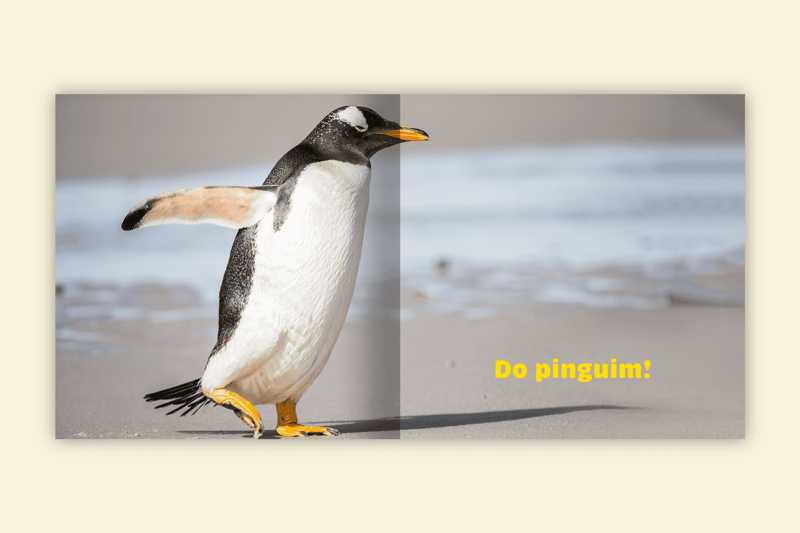 de quem sao esses pes pinguim praia pegadas asa aberta editora via ludica