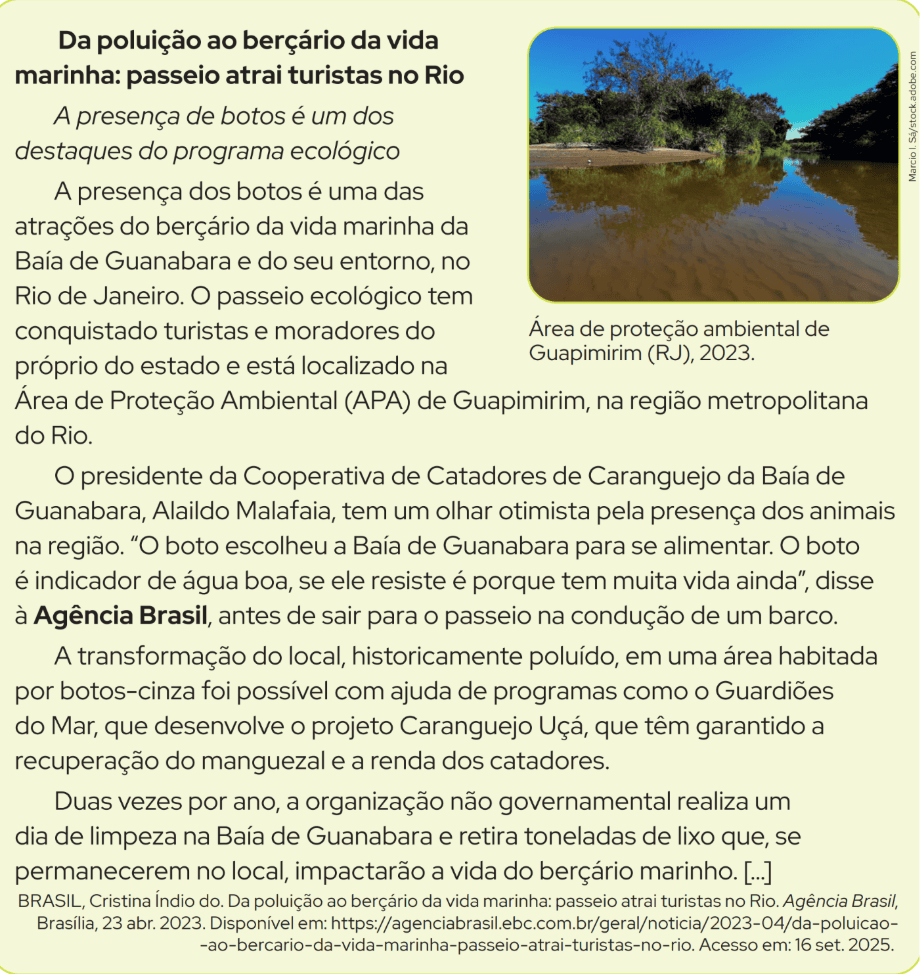 captura de tela 2026 07 13 às 11.03.44