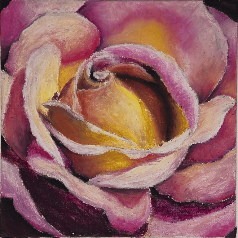 A Pastel Rose by Oshin Disawal