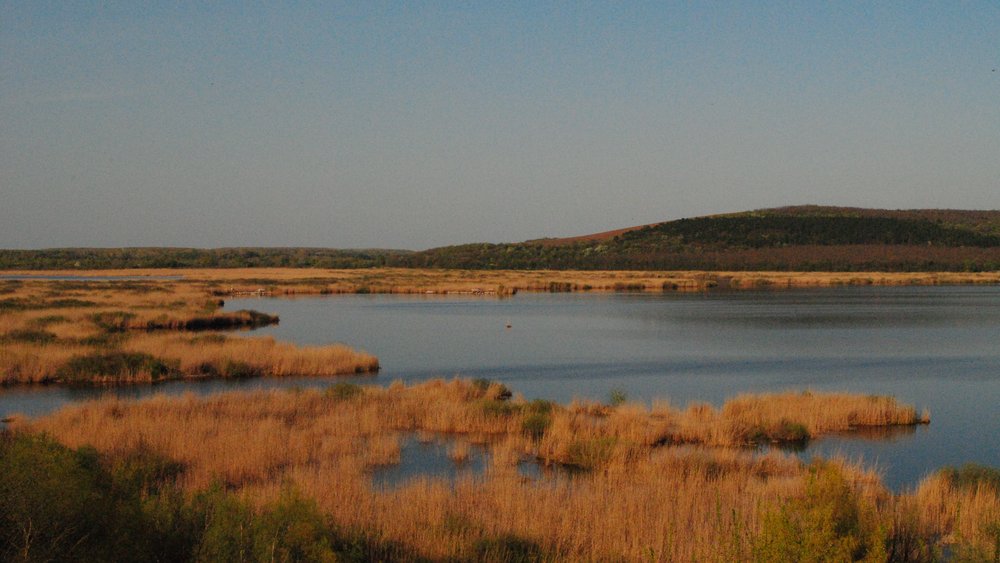Silistra