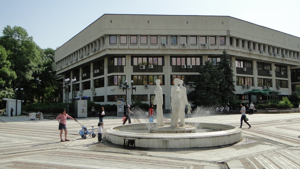 Vidin
