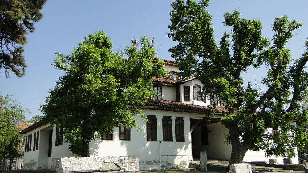 Vidin