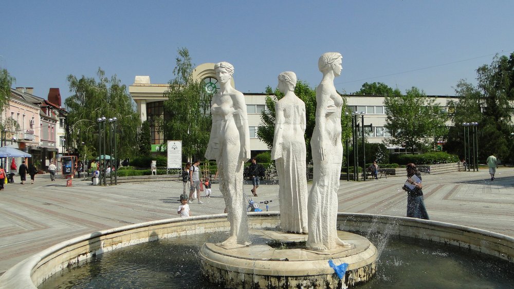 Vidin