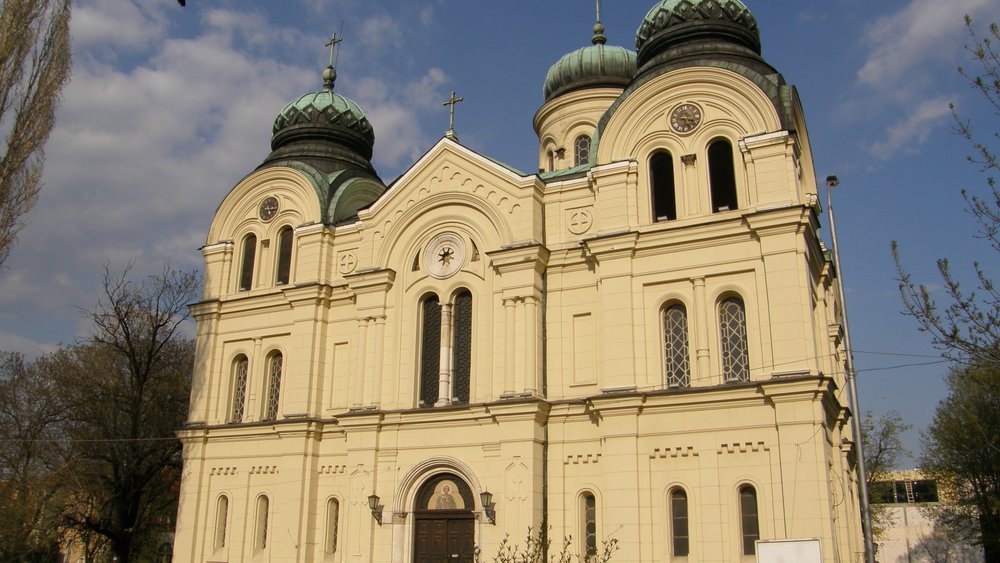 Vidin