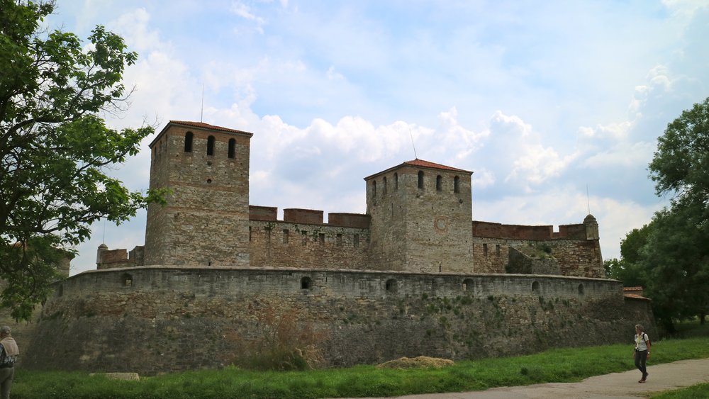 Vidin