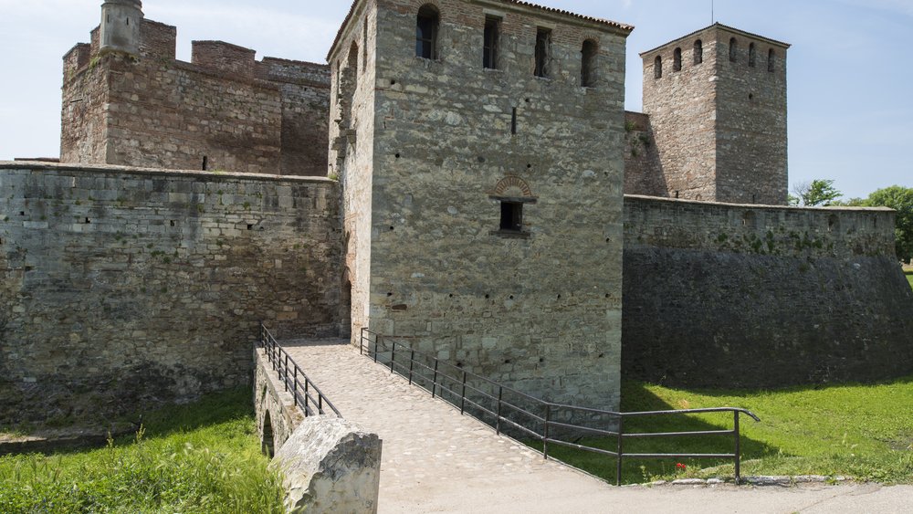 Vidin