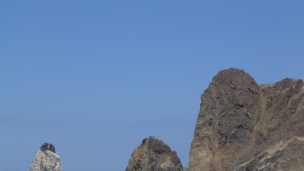 Manta