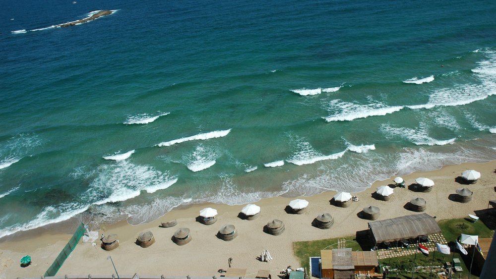 Alexandria