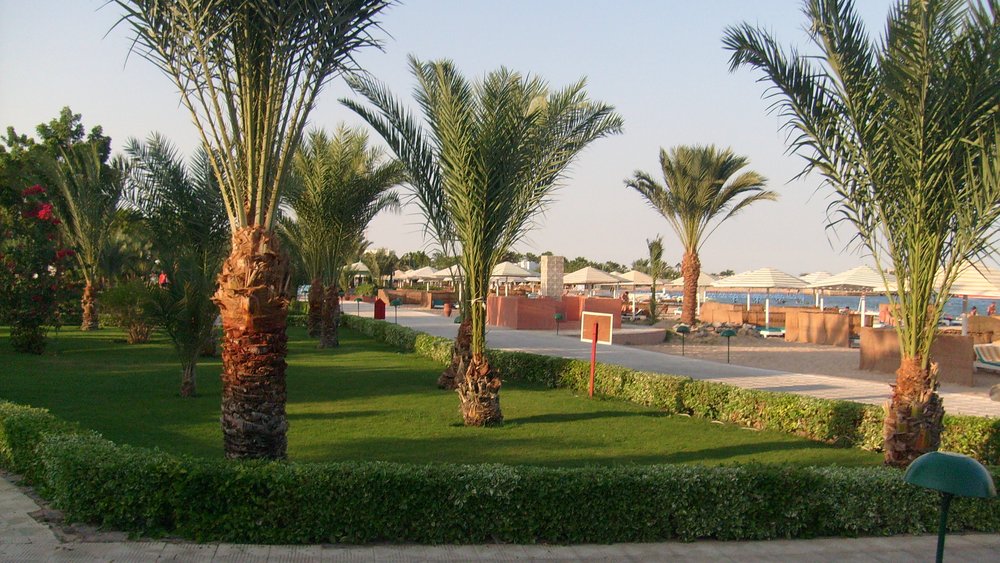 Safaga