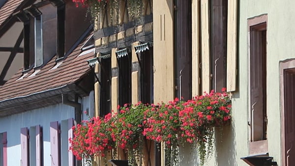 Colmar Cruise Port Guide: Expert Shore Excursions & Tips