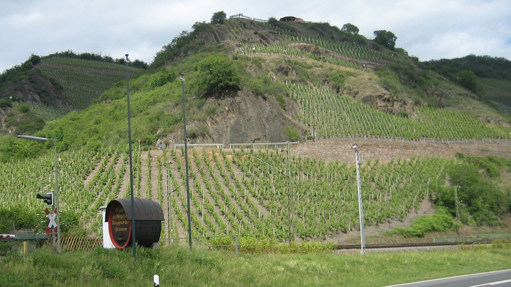 Boppard