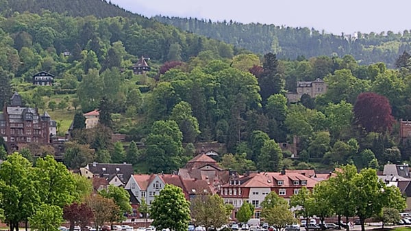 Miltenberg Cruise Port: Shore Excursions & Expert Guide