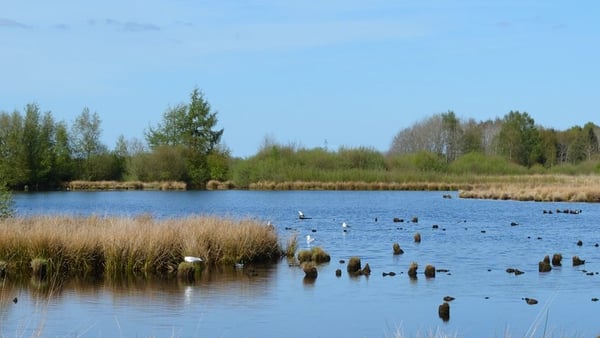 Rendsburg Cruise Port: Shore Excursions & Expert Guide