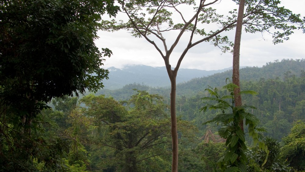 Palawan