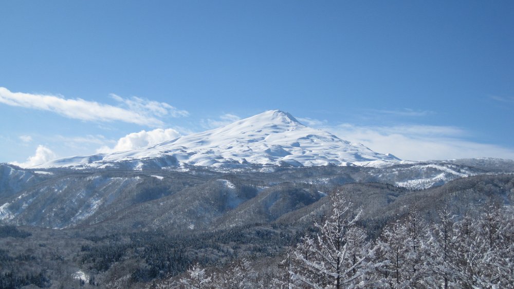 Akita