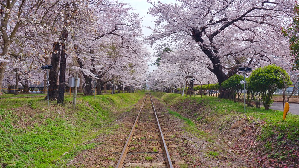 Aomori