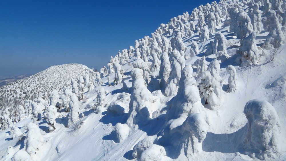 Aomori