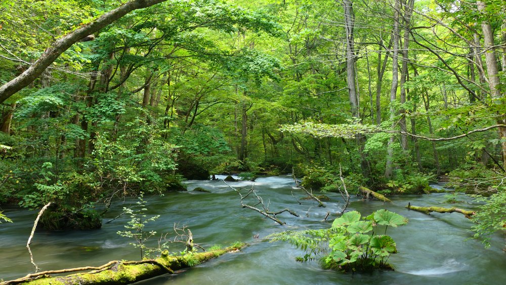 Aomori