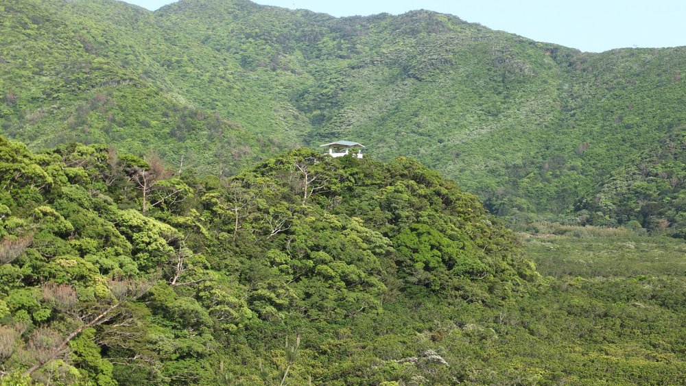 Kagoshima