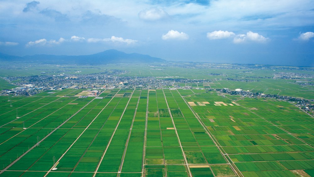 Niigata