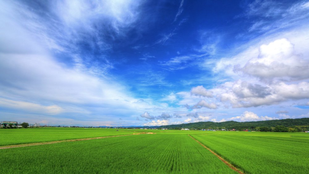 Niigata