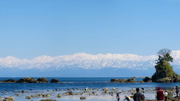 Toyama Cruise Port Guide: Shore Excursions & Expert Advice