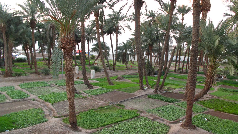 Aqaba