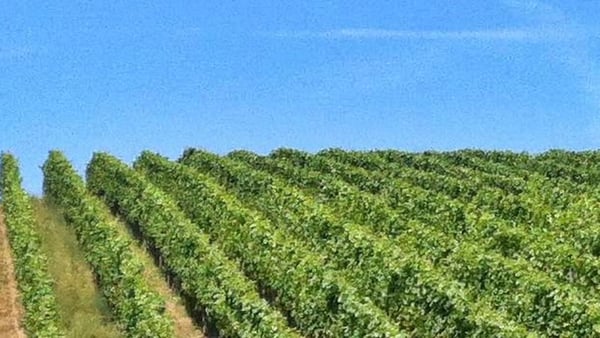 Grevenmacher Cruise Port: Shore Excursions & Expert Guide