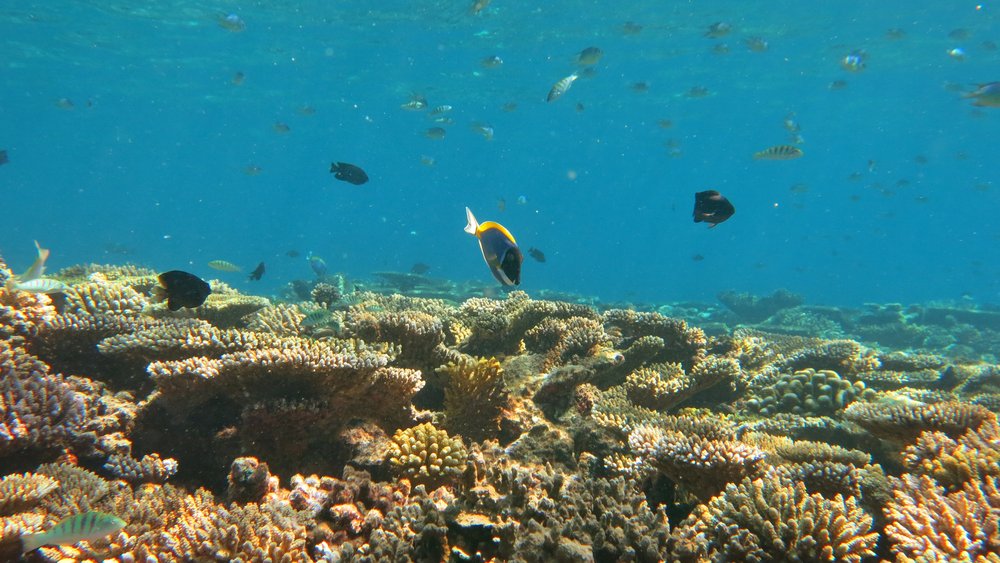 Baa Atoll