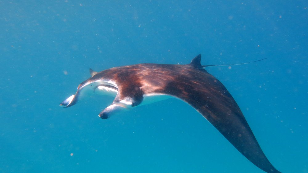 Baa Atoll