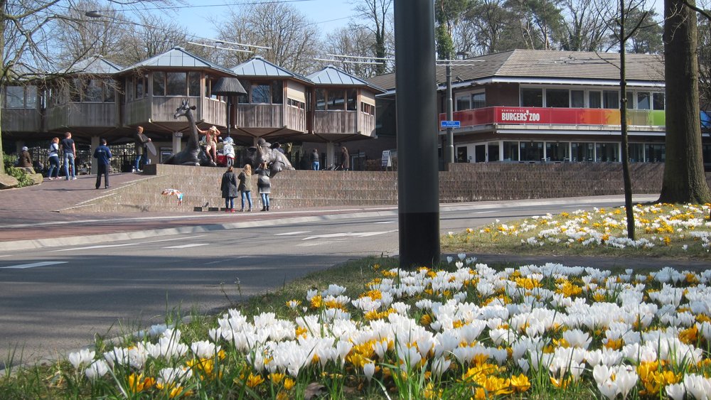 Arnhem