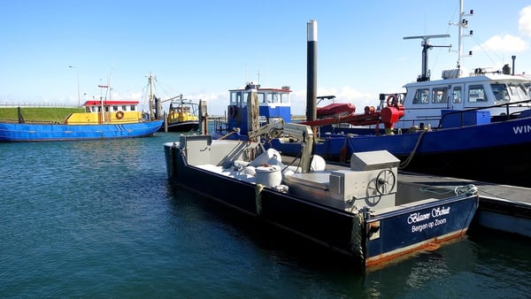 Bruinisse Cruise Port Guide: Delta Works & Zeeland Mussels