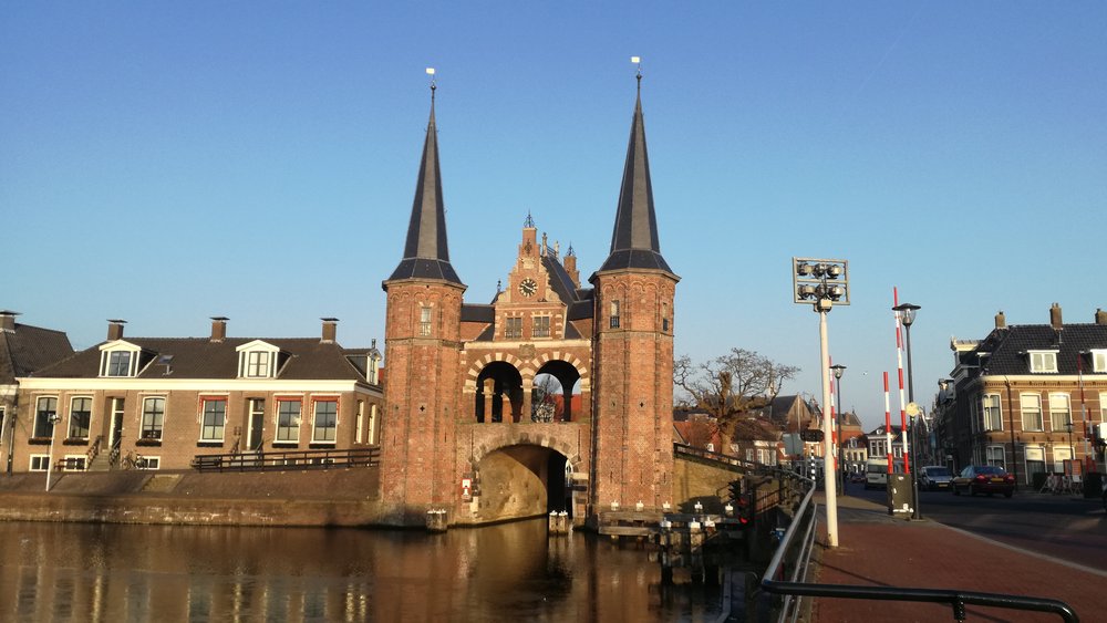 Sneek