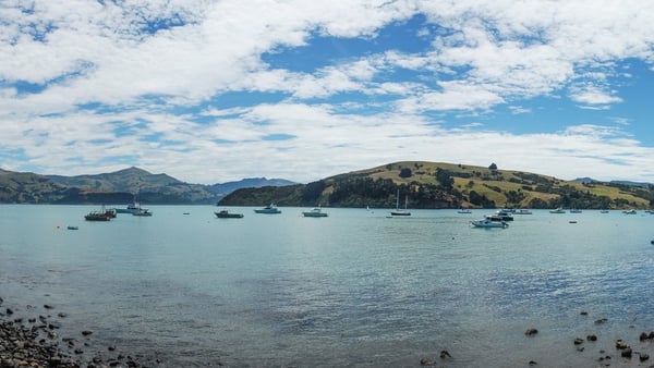 Akaroa Cruise Port: Shore Excursions & Expert Guide