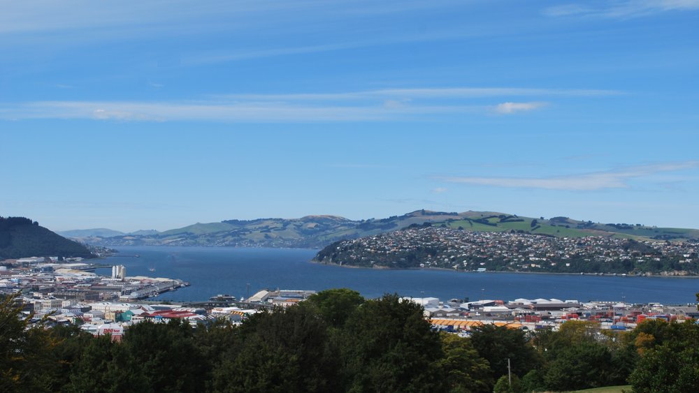 Dunedin