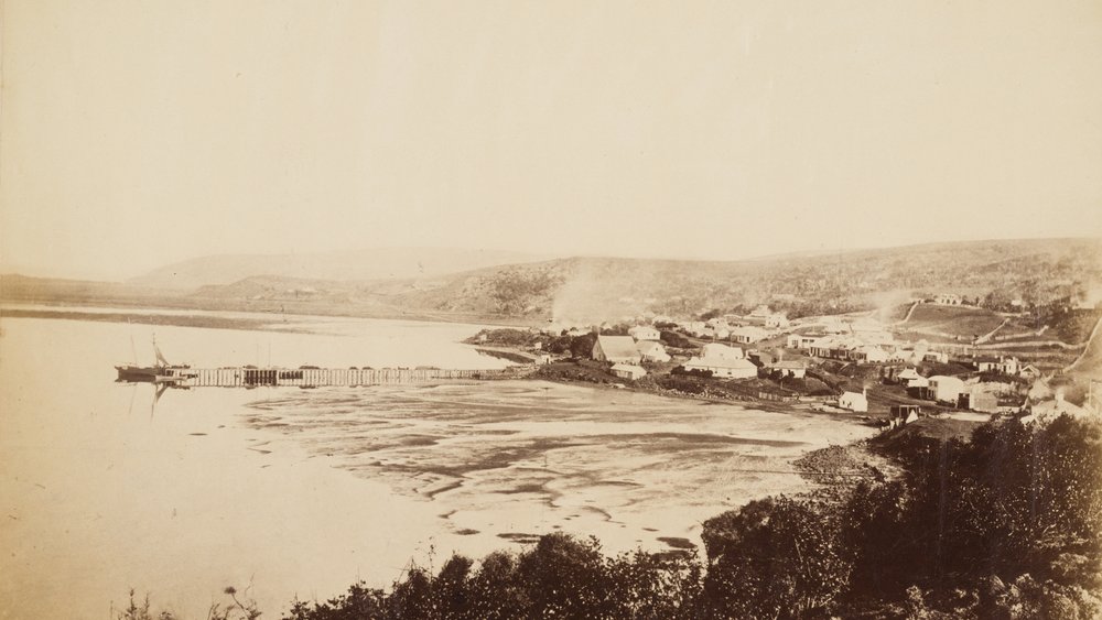 Dunedin