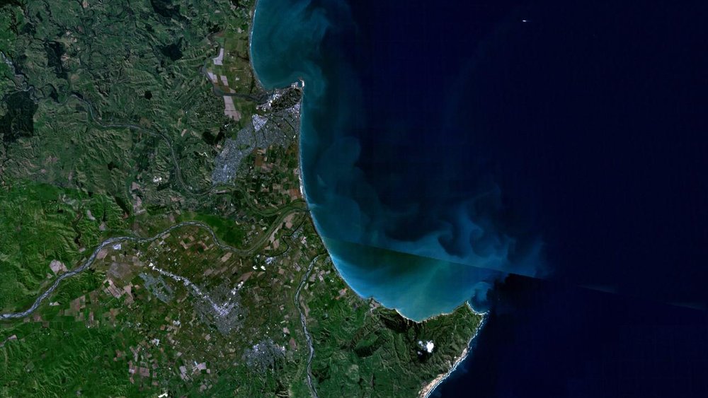 Napier